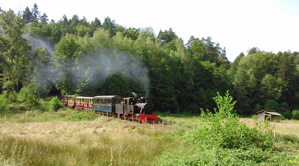 escapades_sarrebourg_train-abreschviller-01